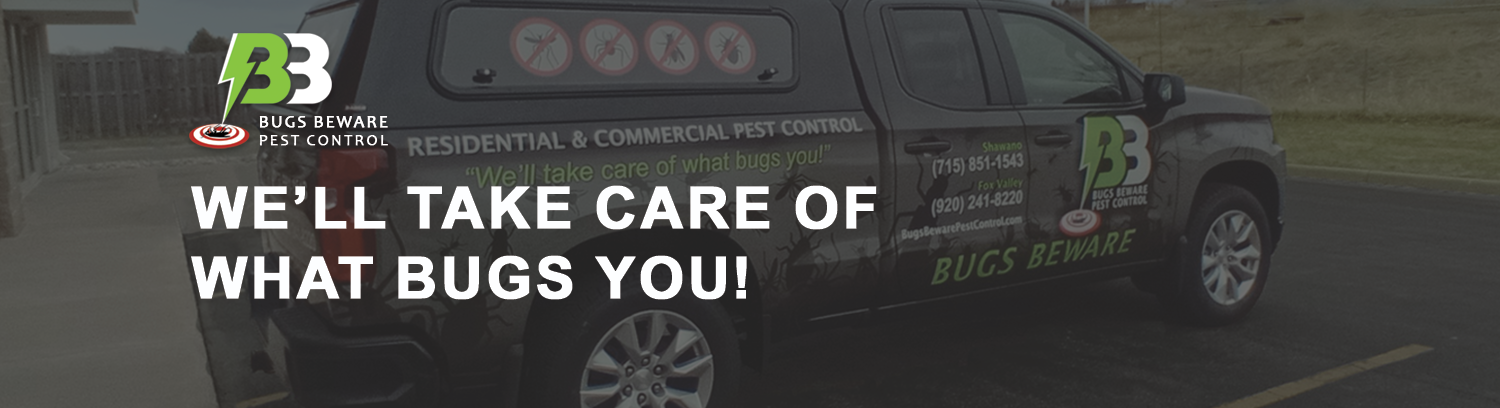 Bugs Beware Pest Control Company Services