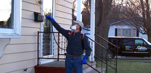 Residential Pest Control by Bugs Beware Pest Control
